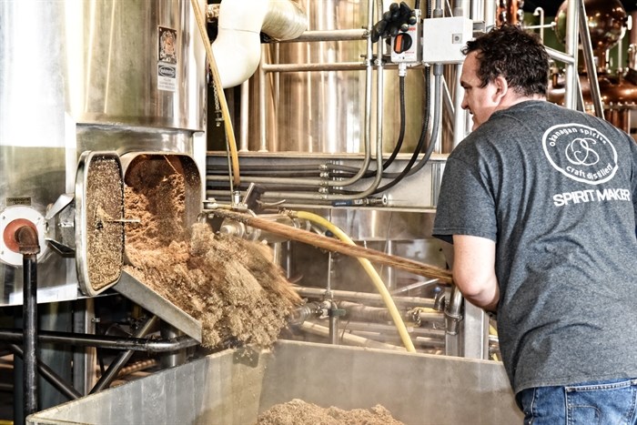 A worker shovels corn grain from a piece of equipment at Okanagan Spirits Craft Distillery in Vernon.