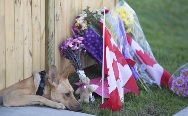 A dog peeks out from under a gate at the Cirillo family home in Hamilton, Ontario near flowers and flags that have been left on Thursday, Oct. 23, 2014. Cpl. Nathan Cirillo, 24, a reservist with Argyll and Sutherland Highlanders of Canada, based in Hamilton, was shot dead in Ottawa Wednesday during an attack by an armed gunman at Parliament Hill. 
