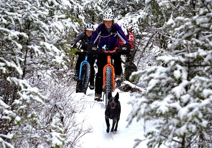 Snowy trails are a playground for fat bikers.