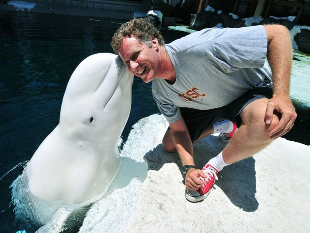 In this photo from SeaWorld's website, actor Will Ferrell is seen with Nanuq at SeaWorld San Diego in 2011.