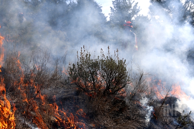 Suspected wildfire arsonist's release from custody last straw for Okanagan MLA | iNFOnews - Vimarsana News