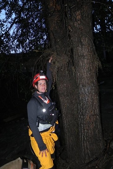 An unidentified search and rescue volunteer shows the high water mark on a tree in Cache Creek following a flash flood, Saturday, May 24, 2015.