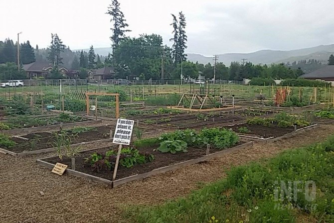 The DeHart Community Garden in Kelowna.