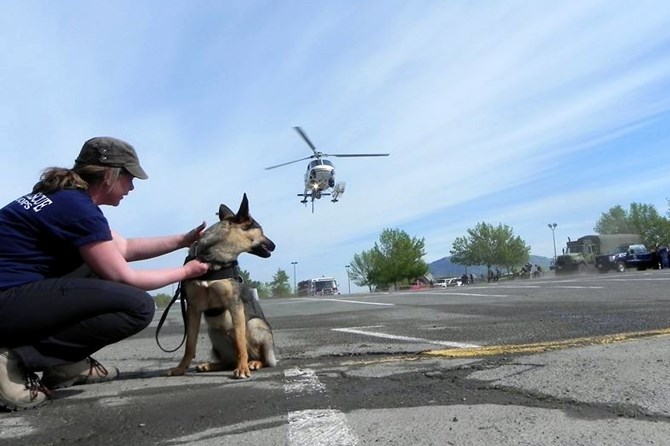 Gertie gets another step into her training with Michelle Liebe by getting used to helicopters.