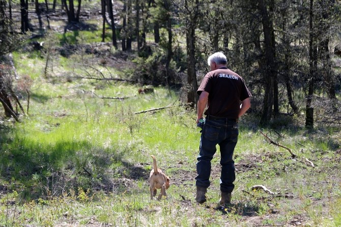 Mike Ritcey is training his second search and rescue dog, Ruby, and hopes she will be as good as his other dog, Juno, is at helping find missing people.