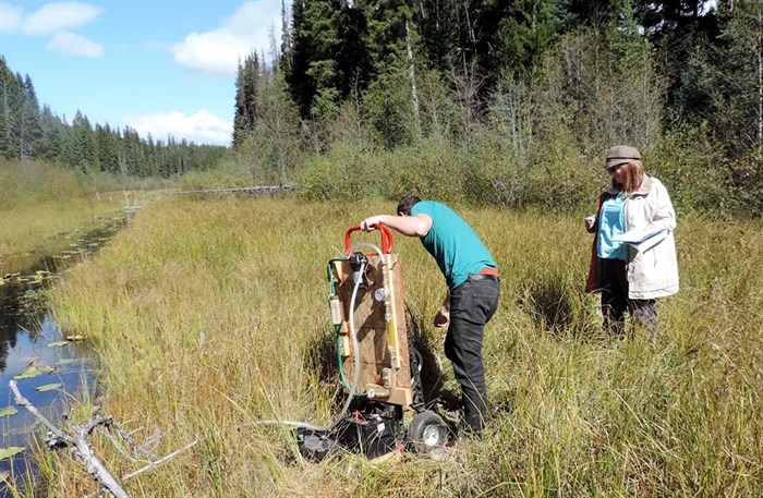 UBC professor Deborah Roberts, right, supervises student Keith Story as he sets up test equipment on a creek in a cattle grazing area.