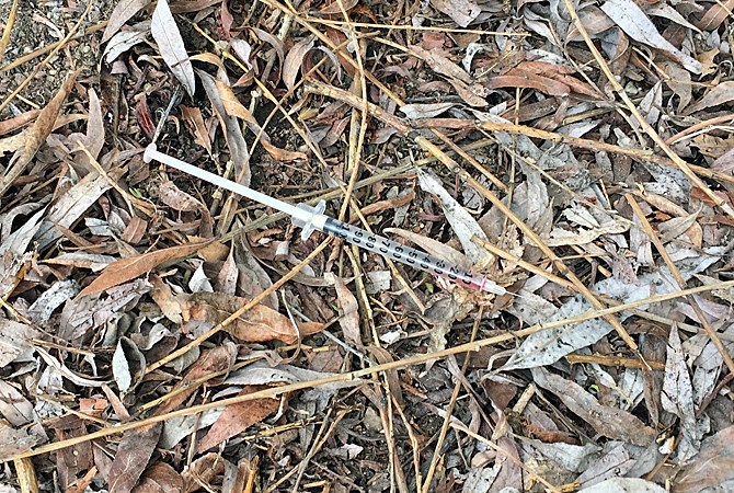 This used hypodermic needle was found on the property of one woman who says drug dealers and their customers are ruining their neighbourhood around Mushroom Beach.