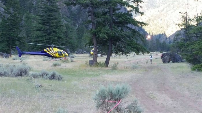 Two of the helicopters used in the search can be seen in this contributed photo.
