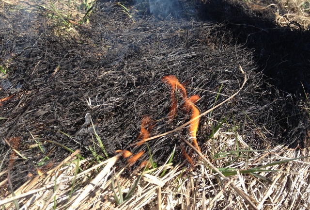 Dry conditions persist in South Okanagan despite weekend rain | iNFOnews | Thompson-Okanagan's News Source - Vimarsana News