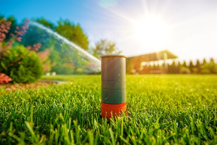 With climate change, drought are lush green lawns a thing of the past ...