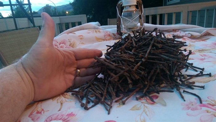 Over a hundred nails were found by Mark and Andrea Sandberg on Centennial Park on July 28. The couple returned to clean up more the following night.