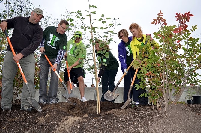 Native tree species were planted along Penticton Creek on Saturday. From left, Joe Enns from Okanagan Nation Alliance, Mayor Andrew Jakubeit, TD Branch Manager Doug Anderson, South Okanagan Conservation Program Manager and Penticton Creek Restoration Committee Chair Bryn White, Coun. Helena Konanz and Downtown Penticton Association Executive Director Kerri Milton marked the significant milestone by planting the first tree.