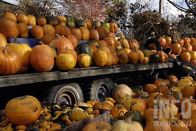 Don-O-Ray Vegetables still has pumpkins available at their Benvoulin location.