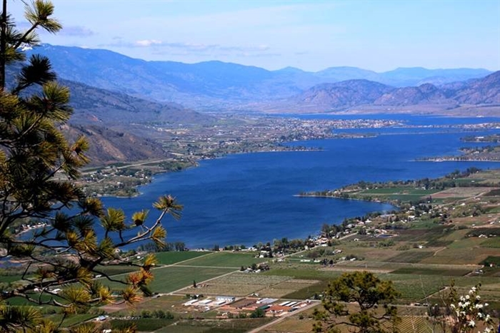 Chilliwack Man Drowns In Osoyoos Lake Infonews Thompson Okanagan S News Source