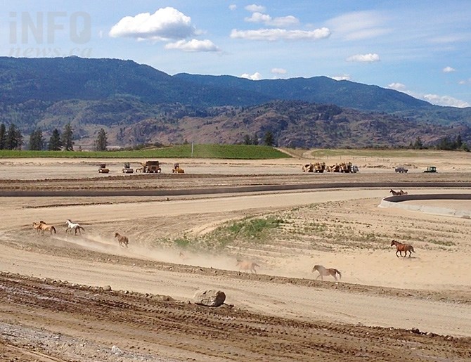 Wild horses enjoy a run through the Area 27 property during construction. Once built the fences will go up and the only horsepower people will see at the track are the mechanical kind, under the hoods of members' race cars.