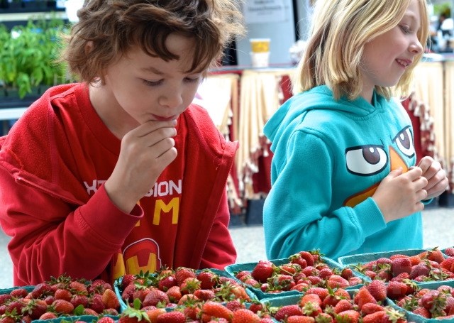Siblings Phoenix, 8, and Raine, 7, taste test strawberries at the Vernon Farmers Market. 