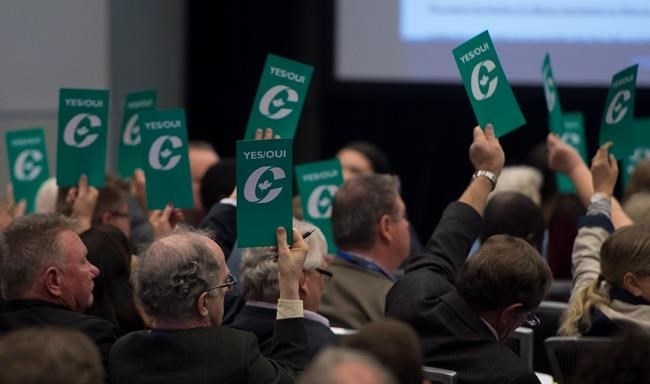 Delegates hold up vote cards as they vote to change the current wording of the party's same-sex marriage policy at Conservative Party of Canada convention in Vancouver, Friday, May 27, 2016. 