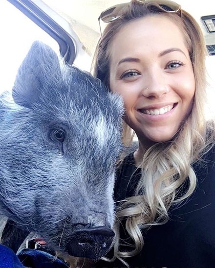 Layla the pig with owner Coralee. 