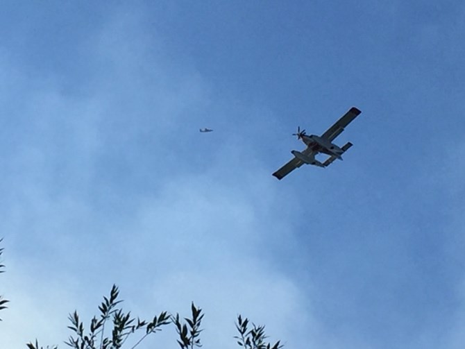 A bird dog circles overhead while the water bombers hit the fire.