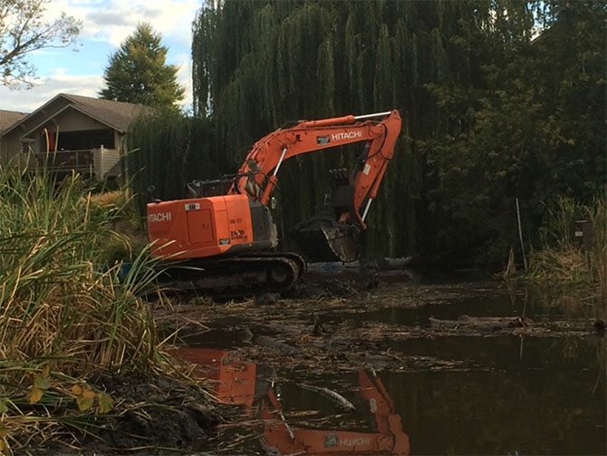 Life Restored To Stagnant Okanagan River Oxbow In Penticton