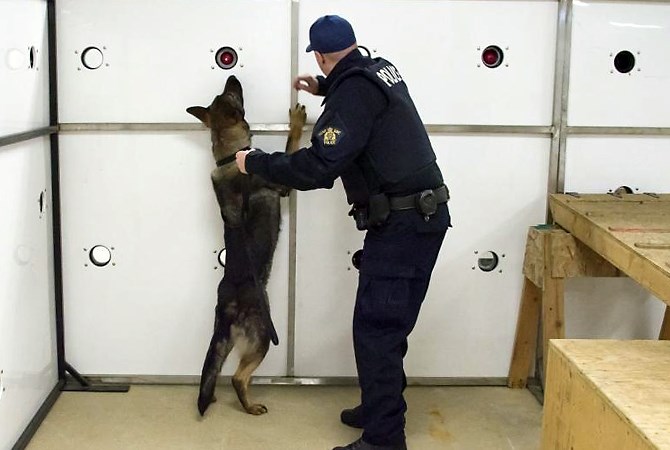 A 'scent wall' used to train RCMP police dogs to detect fentanyl and other drugs.