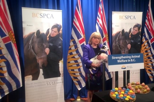 Liberal MLA Jane Thornthwaite, holding Burger, a Jack Russell terrier puppy, speaks at the announcement of B.C.'s plans to strengthen its animal welfare law, at the provincial legislature in Victoria on Monday, February 27, 2017. 