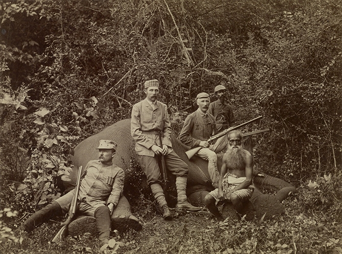 Franz Ferdinand's hunting elephants in Ceylon in January, 1893. The Archduke is reputed to have killed more than 240,000 animals in his lifetime. 