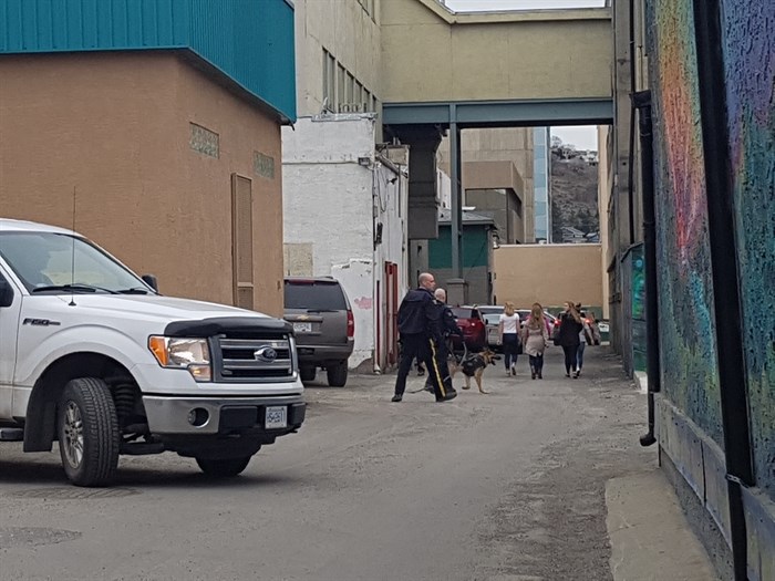 Officers search downtown Kamloops for the suspect that robbed TD Canada Trust around 5:16 p.m. on Friday, March 31, 2017. 