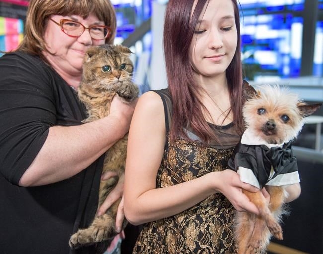 Quebec vet association unveils names of oldest dog and cat ...