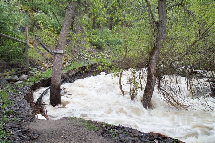 A nature trail at the B.C. Wildlife Park used to run along Campbell Creek and is now completely washed out. 