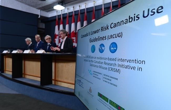 Dr Benedikt Fischer, right, speaks in Ottawa on Friday, June 23, 2017. He is joined by an international team of experts as they release guidelines aimed at lowering the health risks of cannabis use.