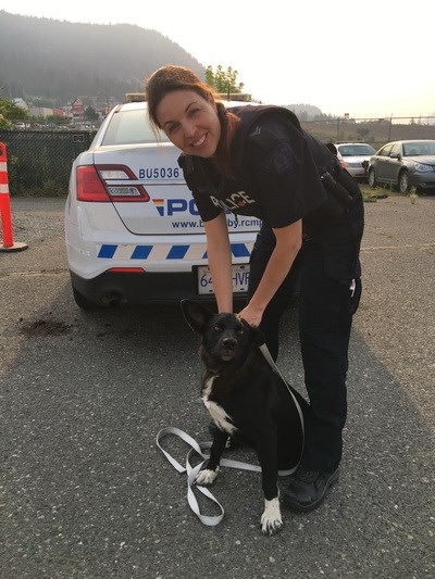 Cpl. Stephanie Lin with the dog found in Williams Lake. They are happily returning him today. 