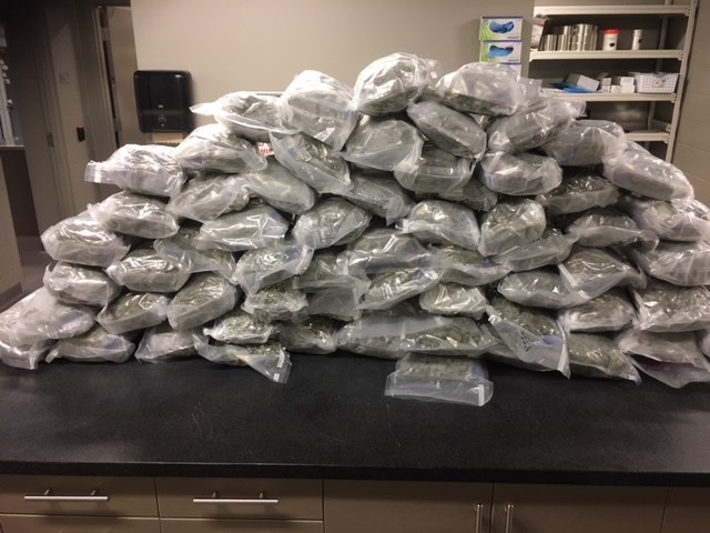 Kelowna RCMP seized approximately 62 lbs. of packaged marihuana bud from a legal grow operating with alleged ties to the Hells Angels on Nov. 2, 2017.
