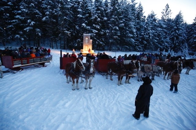 The sleighs and their teams of horses at the Caravan Farm Theatre are seen in this submitted photo.