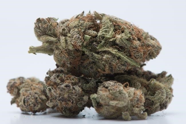 FILE PHOTO - Medical marijuana is shown in Toronto, November 5, 2017.