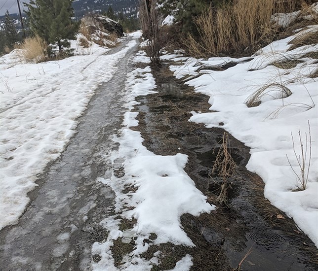 Water has begun to flow along the Kettle Valley Rail trail above Naramata, similar to what took place last spring in what was supposed to be a unique, one-time event, claims Naramata resdient Lyle Armour, whose property is being affected by the runoff.