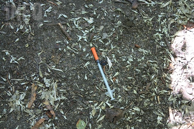 A needle lies discarded on a pathway in Esplanade Park.