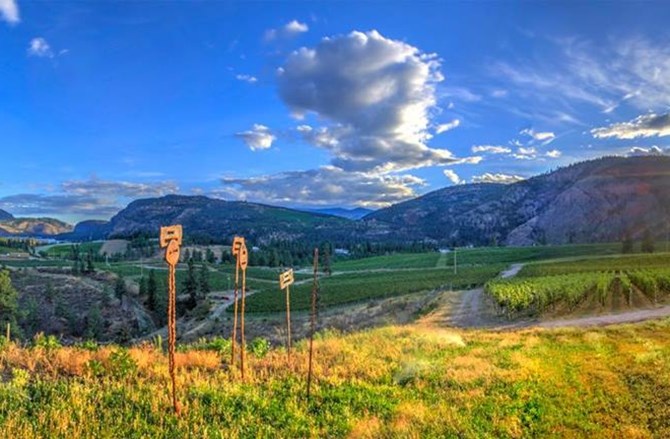 Okanagan Falls wineries can now label their products as coming from the Okanagan Falls sub-appellation of B.C. wines.