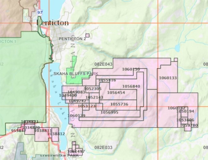 A map showing the claims staked (in pink) on Mount Christie near Penticton by a Kelowna-based mining company.