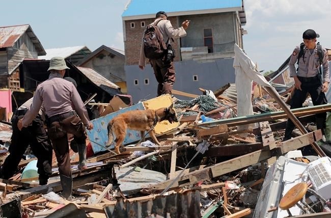 A police K9 unit continues to search for victims in the wreckage following earthquakes and tsunami in Palu, Central Sulawesi Indonesia, Wednesday, Oct. 3, 2018. Aid was slowly making its way into areas devastated by the earthquake and tsunami that struck a central Indonesian island, with one neighborhood's residents clapping, cheering and high-fiving in their excitement Wednesday at seeing a stopped truck laden with supplies.