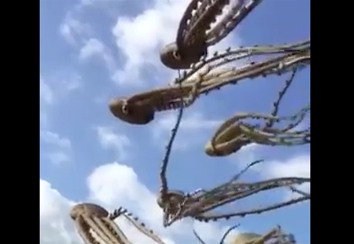 big octopus kite