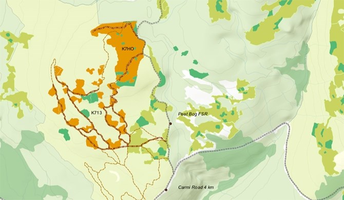 Areas in orange outline proposed logging operations in the Carmi trails area, east of Penticton.