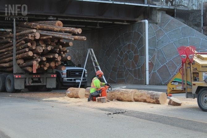Workers with chainsaws cut up logs and put them in a wood chipper across from Kamloops City Hall on Monday, Jan. 28, 2019.
