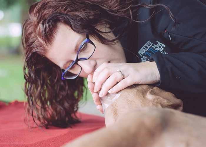 On an animal CPR is conducted through the nose.