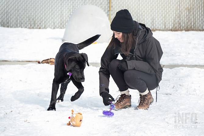 Carmen Facciotti, a Kelowna SPCA volunteer, socializes Olive, who was part of an 11-dog intake from Northern B.C. Some of the other dogs have gone on to different shelters around the province.