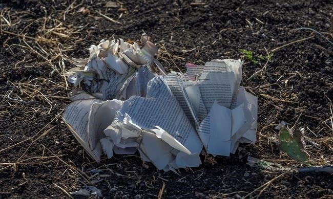Documents lie on the ground at Bishoftu, or Debre Zeit, outside Addis Ababa, Ethiopia, Monday, March 11, 2019, where Ethiopia Airlines Flight 302 crashed Sunday. Investigators are trying to determine the cause of a deadly crash Sunday involving a new aircraft model touted for its environmentally friendly engine that is used by many airlines worldwide.
