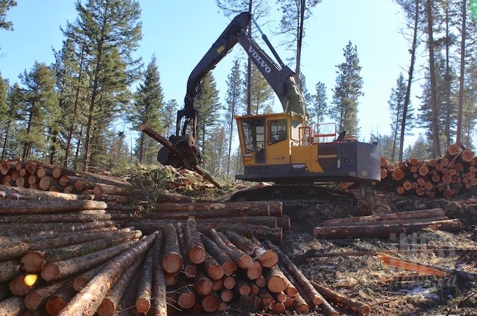 Gorman Bros. Lumber's machine sorts logs for milling or chipping.