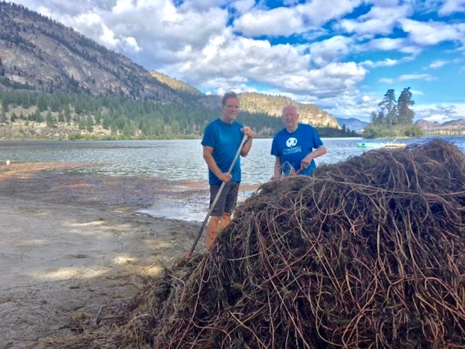 Norm Gaumont(right) and his neighbour Ron Worth piled up the mifoil that drifted onto their Vaseux Lake beach in 2016.