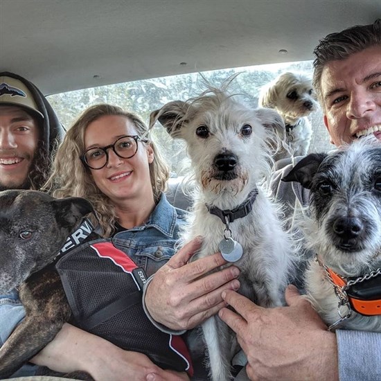 The comedians will be bringing their dogs along for the ride this summer.