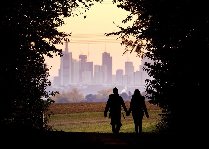 FILE - In this Oct. 21, 2018, file photo, a couple walks through a forest with the Frankfurt skyline in background near Frankfurt, Germany. Development that’s led to loss of habitat, climate change, overfishing, pollution and invasive species is causing a biodiversity crisis, scientists say in a new United Nations science report released Monday, May 6, 2019. 